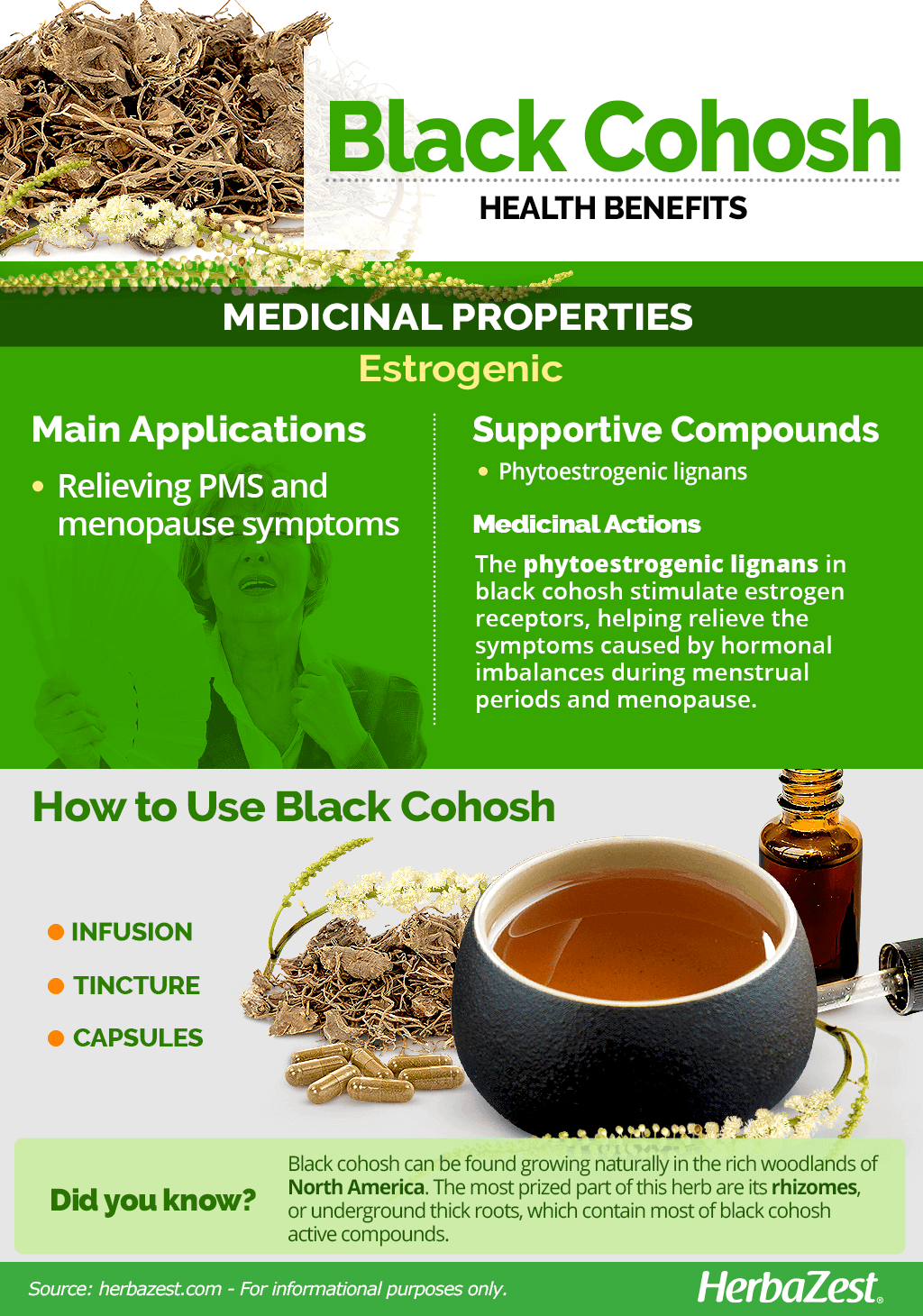 All About Black Cohosh