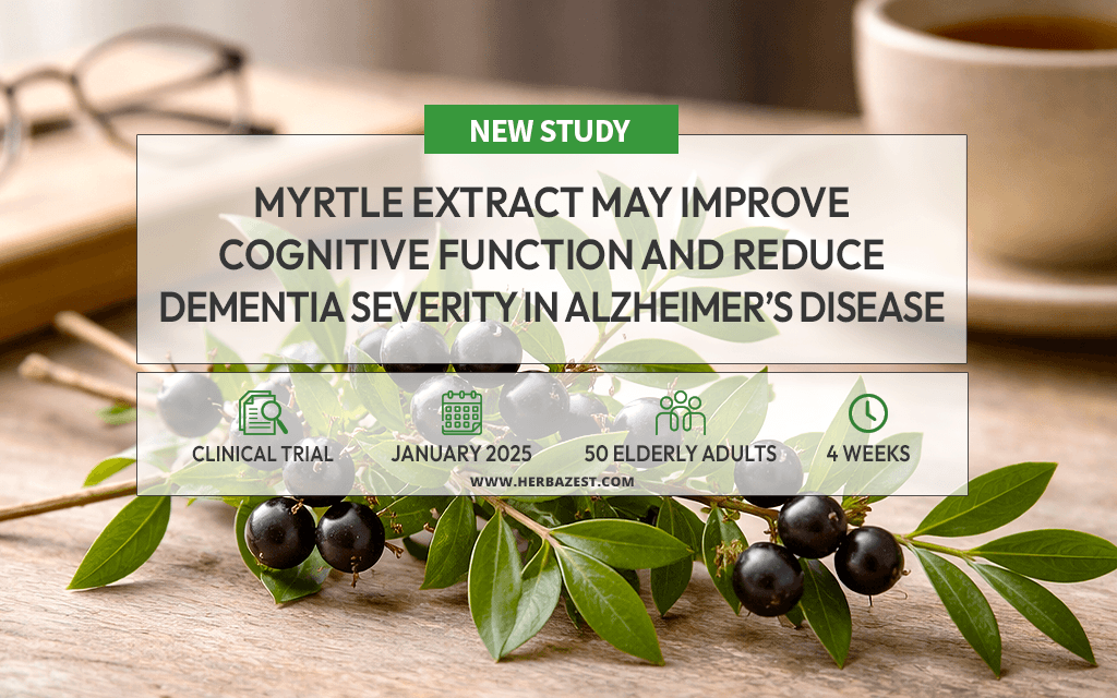 Myrtle Extract Offers Potential Support for People with Alzheimer's Disease