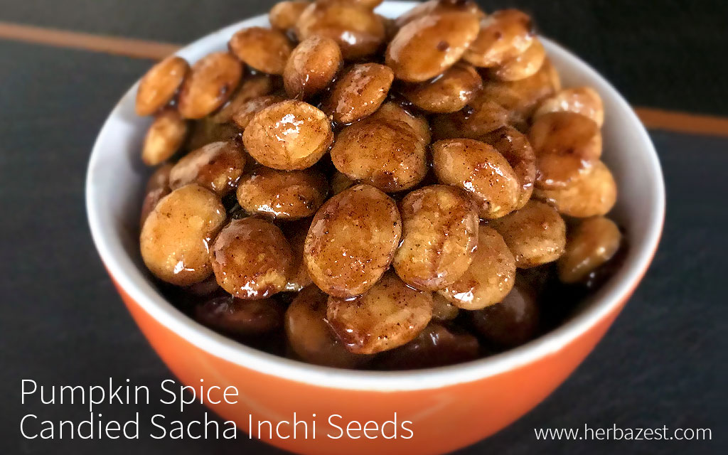 Pumpkin Spice Candied Sacha Inchi Seeds