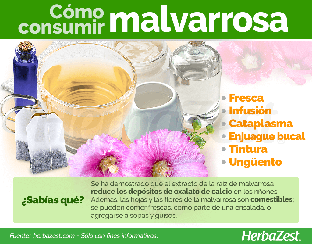 Cómo consumir malvarrosa