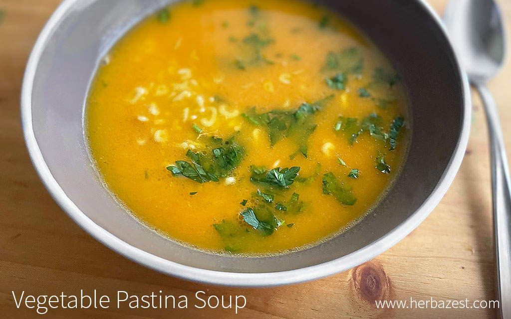 Vegetable Pastina Soup