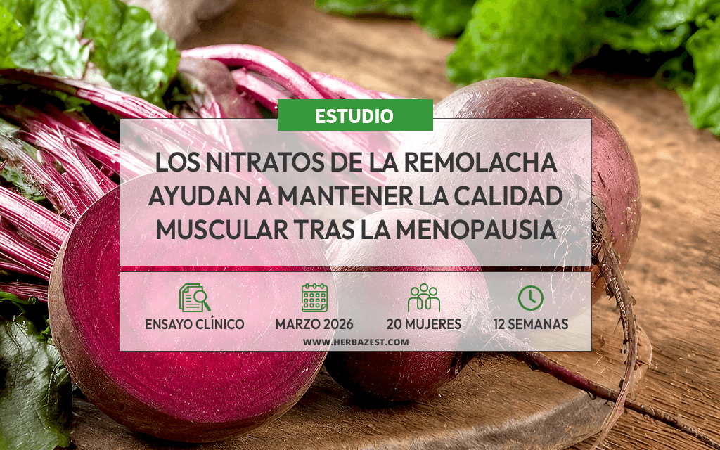 Extracto de remolacha mejora la calidad muscular en postmenopausia