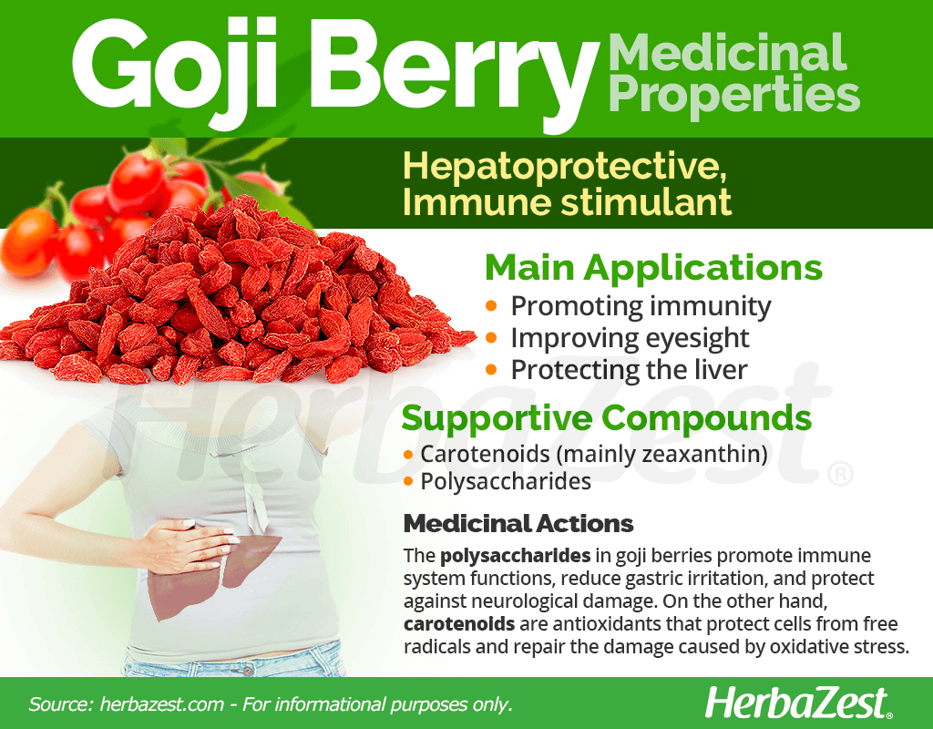 Goji Berry Medicinal Properties