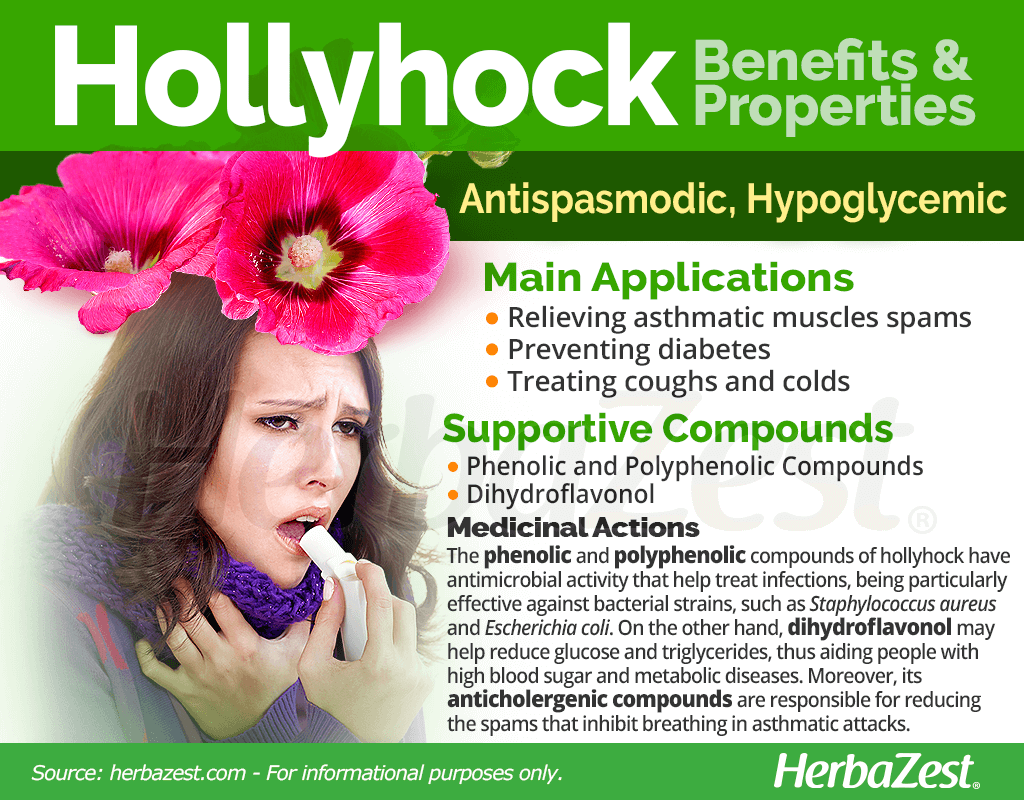 Hollyhock Benefits and Properties
