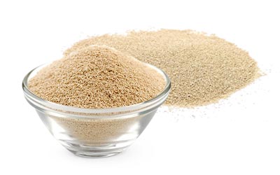 Active dry yeast