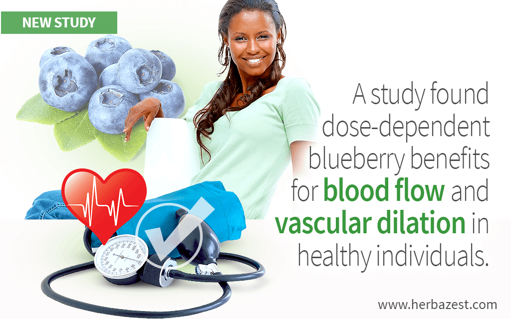 Blueberry anthocyanin's dose-dependent benefits on vascular function proved by study