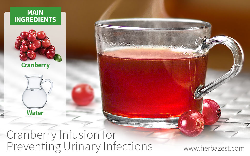Cranberry Infusion for Preventing Urinary Infections HerbaZest