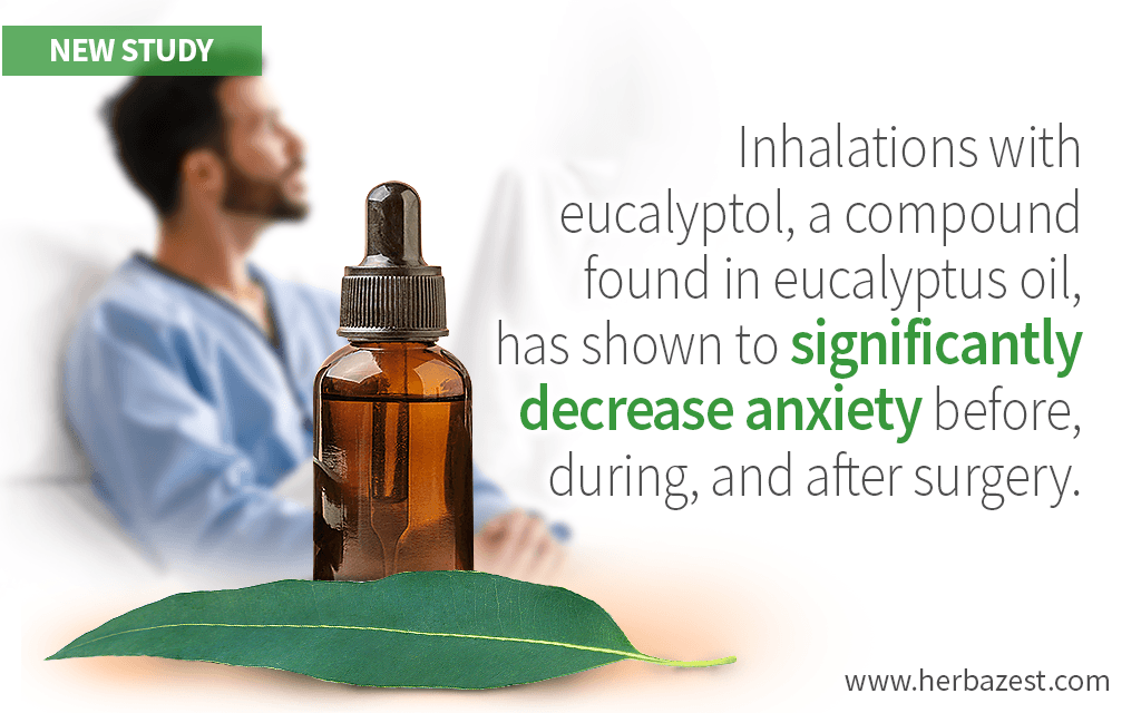Eucalyptus Inhalations Help Reduce Preoperative Anxiety