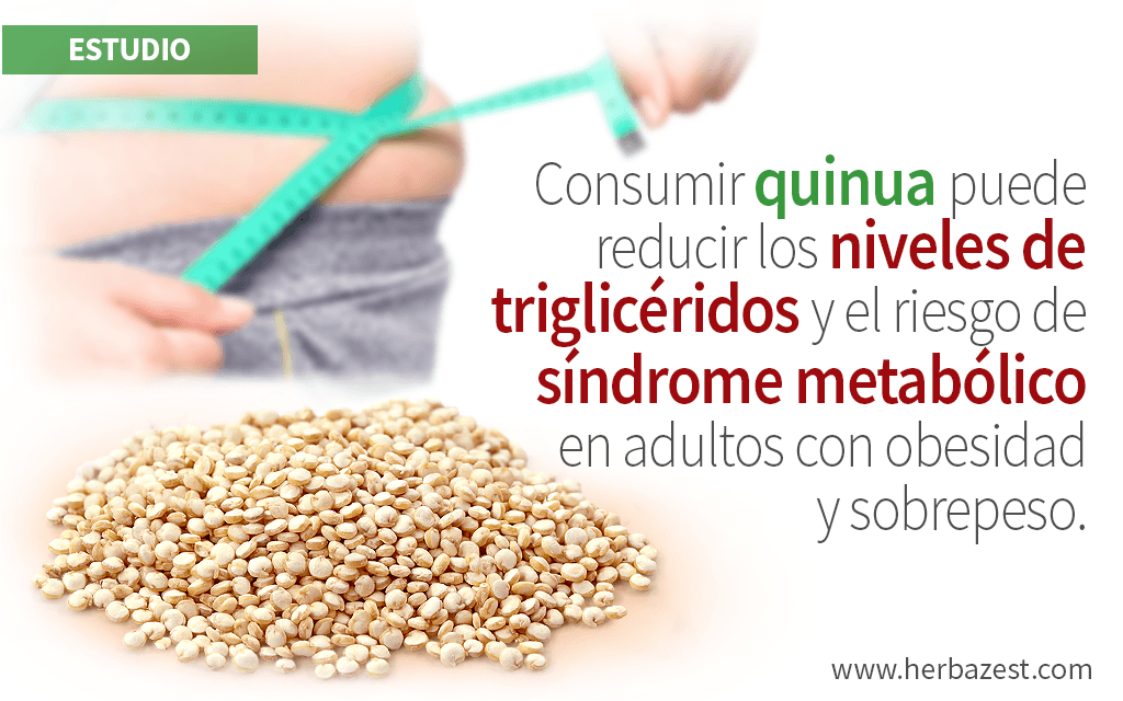 Consumo de quinua reduce niveles de triglicéridos en adultos obesos y con sobrepeso en estudio
