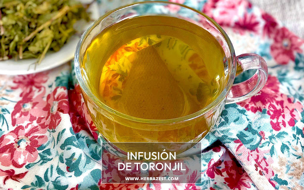 Infusión de toronjil