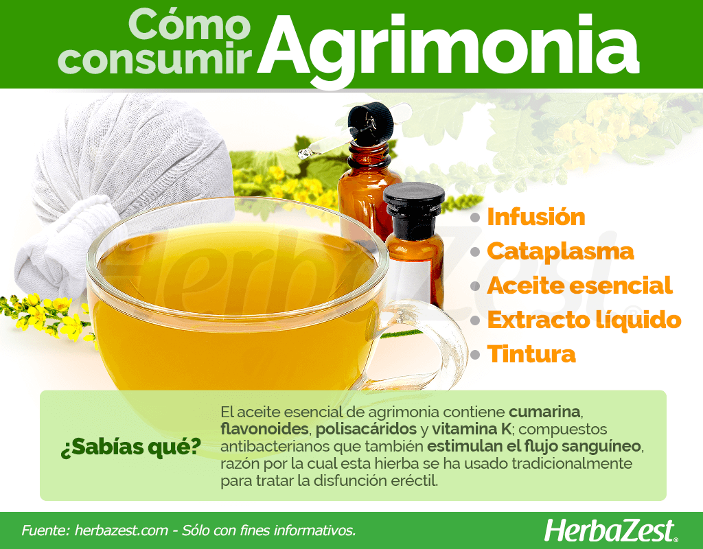 Cómo consumir agrimonia