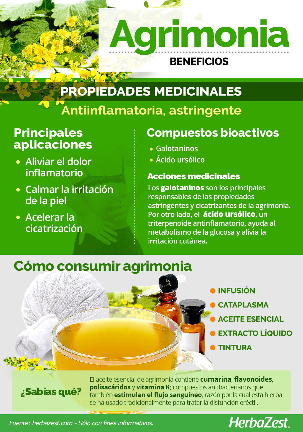 Beneficios de la agrimonia