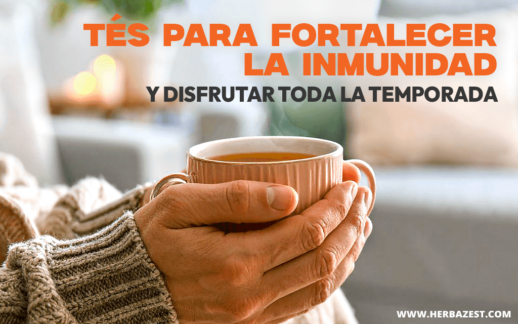 Tés para fortalecer la inmunidad y disfrutar toda la temporada