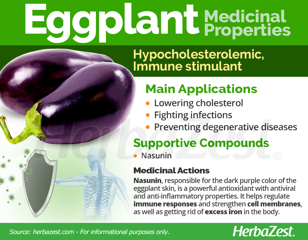 Eggplant Medicinal Properties