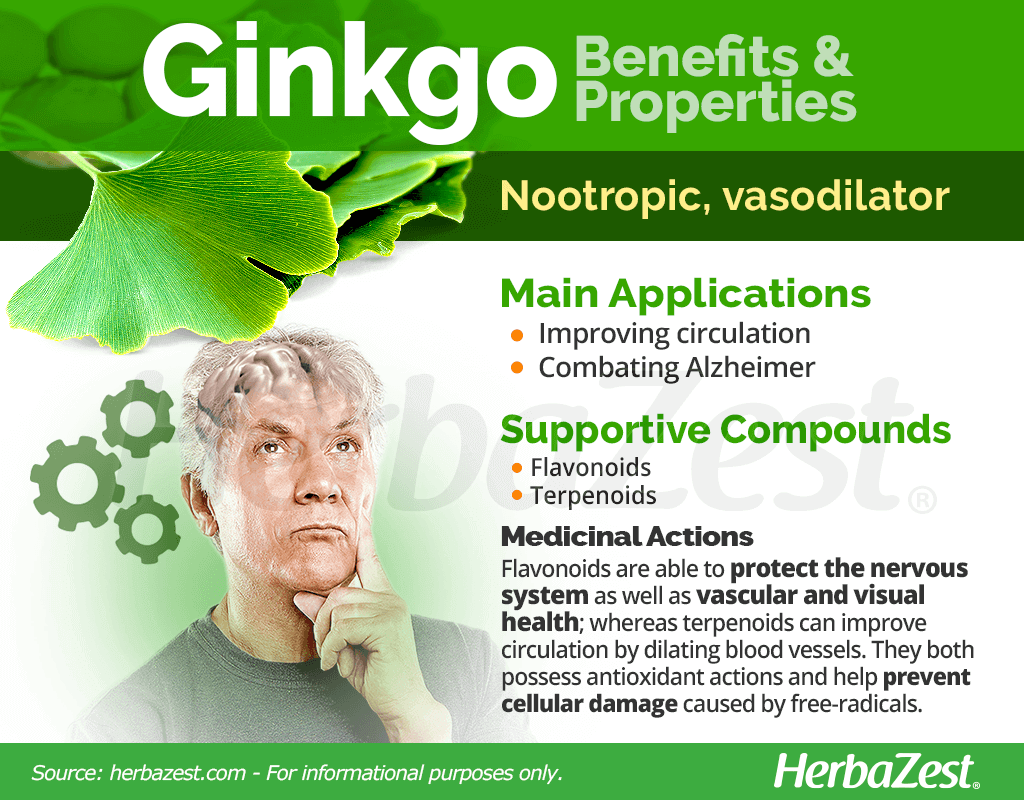 Ginkgo Benefits and Properties