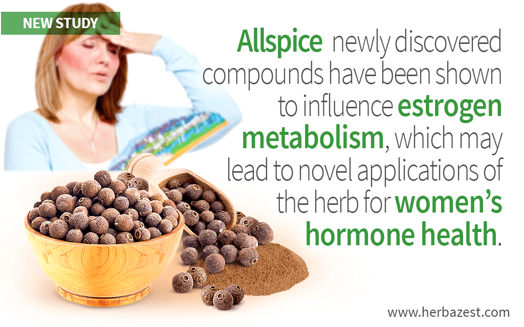 Allspice Hormone Balancing Effects