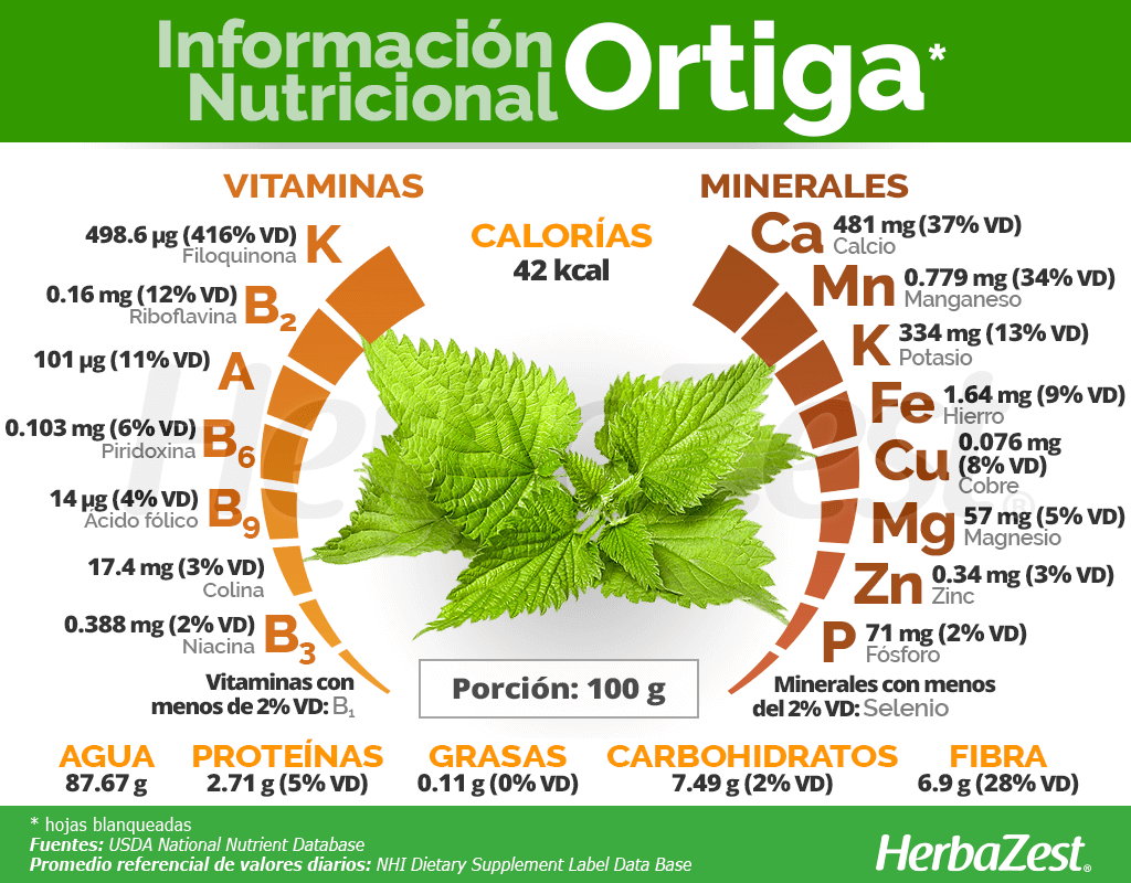 Información nutricional de la ortiga