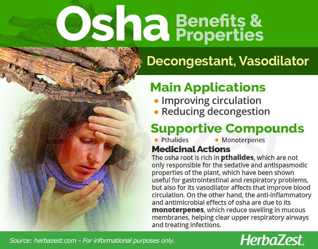 Osha Benefits & Properties