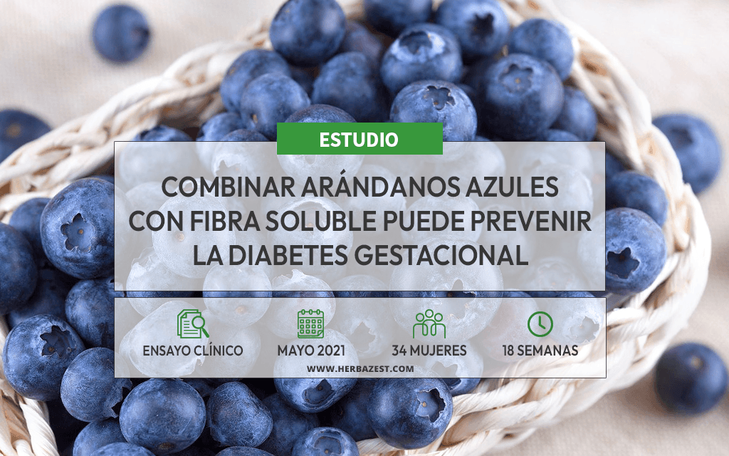 Los arándanos azules pueden reducir el riesgo de diabetes gestacional