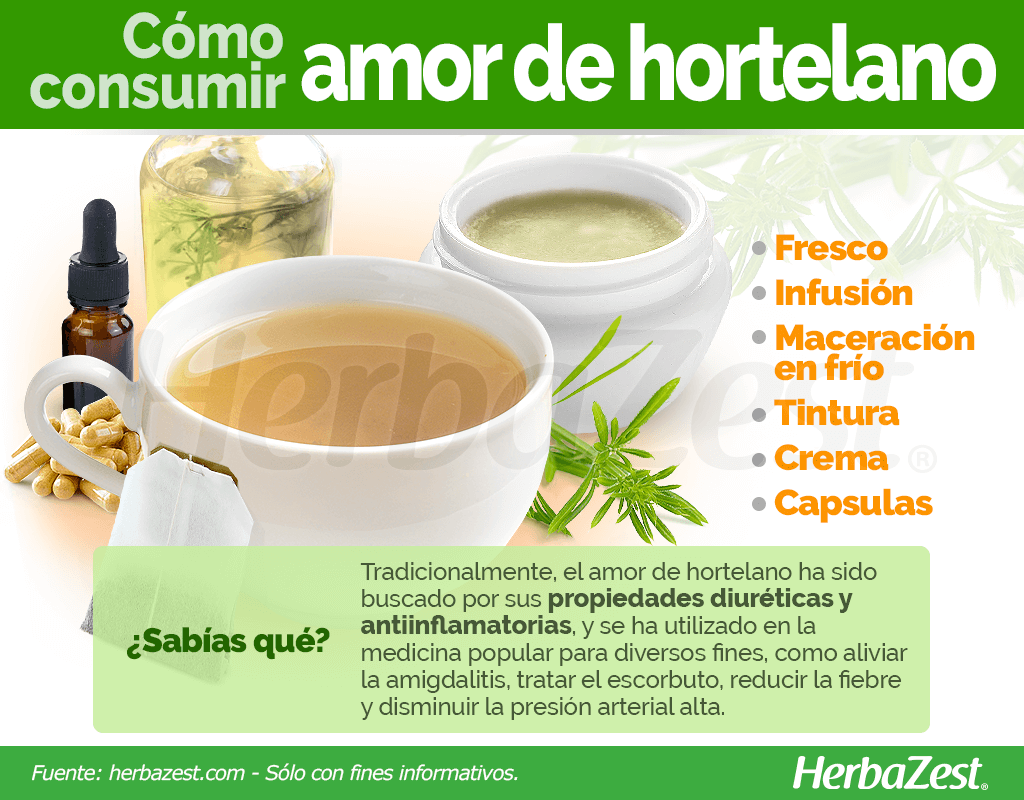 Cómo consumir amor de hortelano