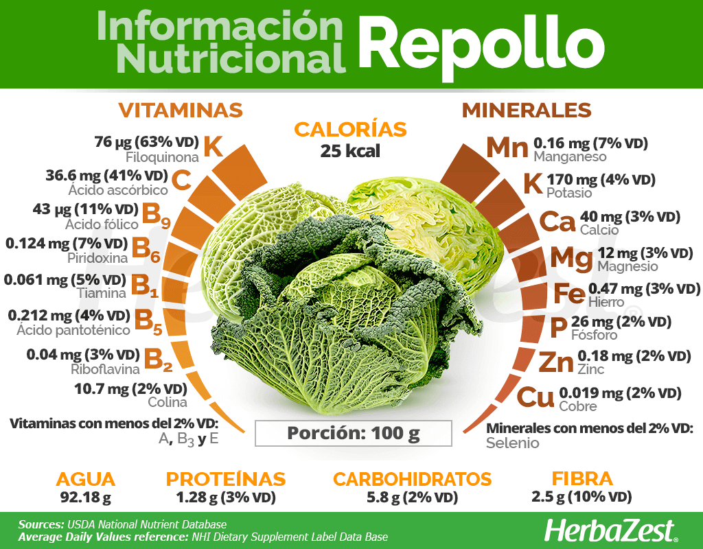 Información nutricional del repollo