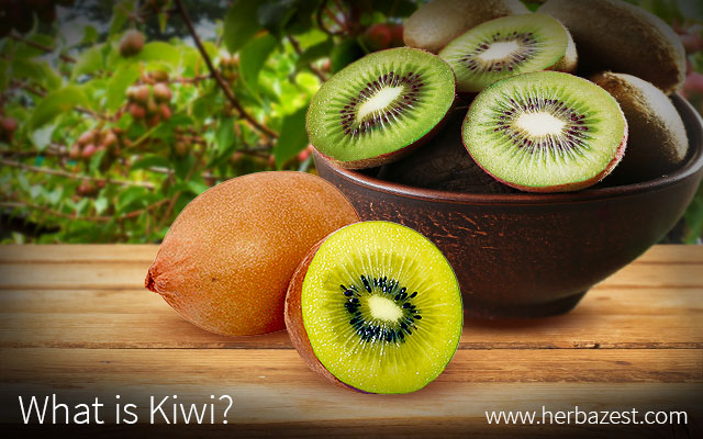 What is Kiwi?