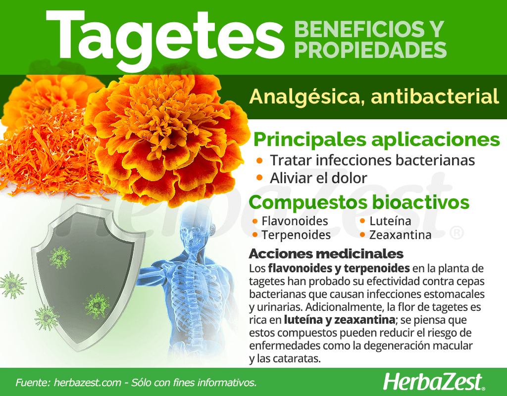 Beneficios y propiedades de tagetes