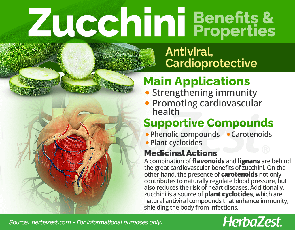 Zucchini Benefits and Properties