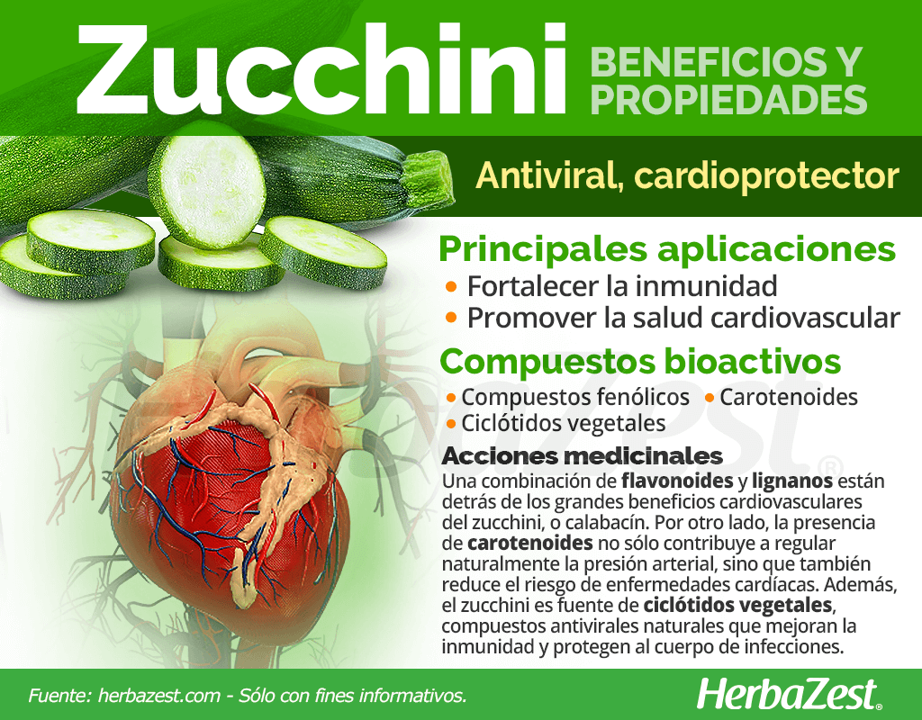 Beneficios y propiedades del zucchini