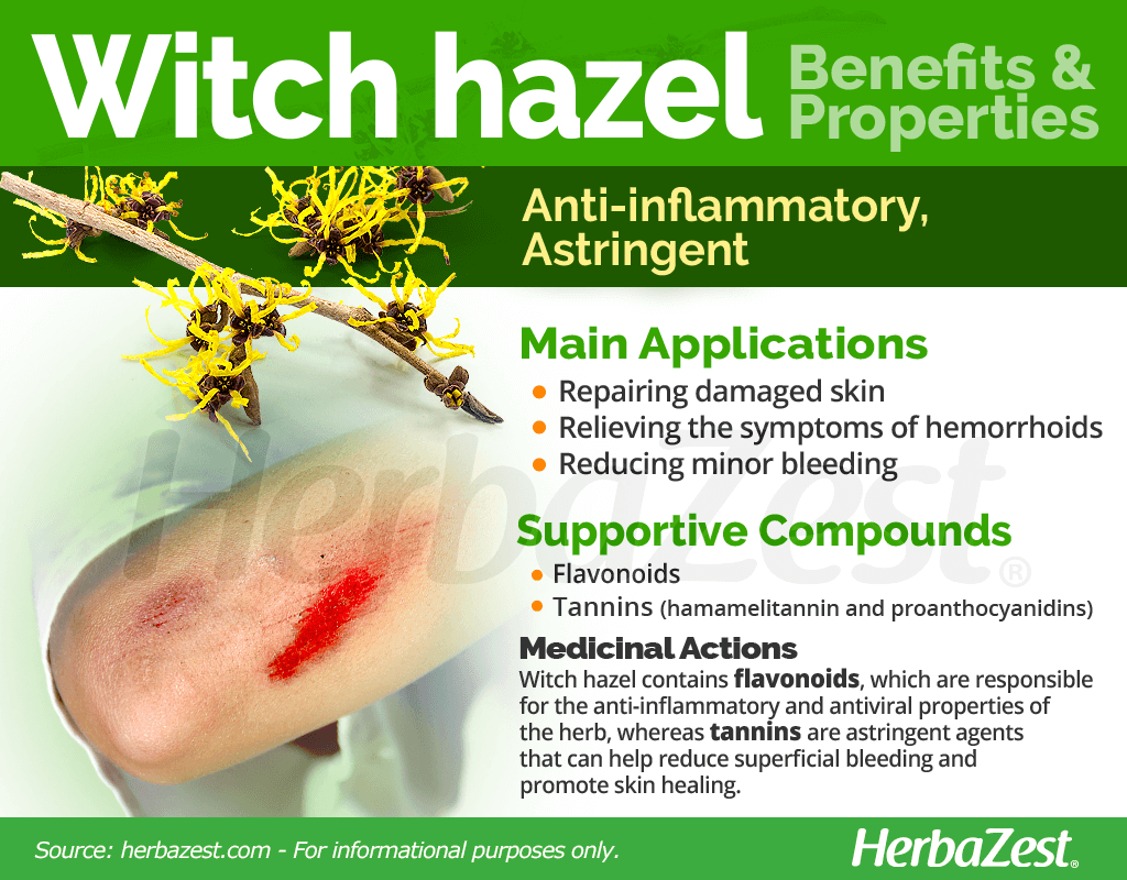 Witch Hazel Benefits & Properties