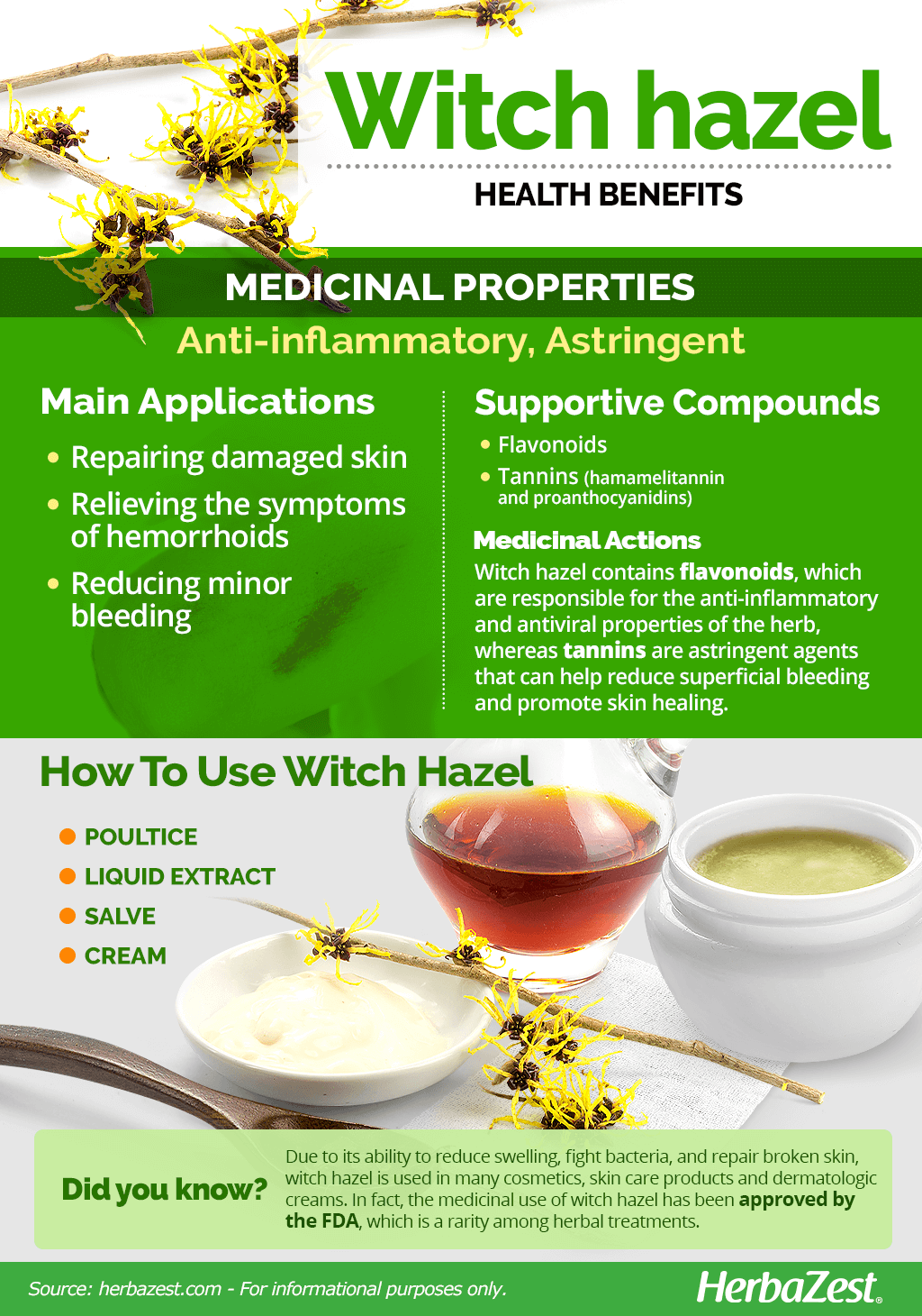 All About Witch Hazel