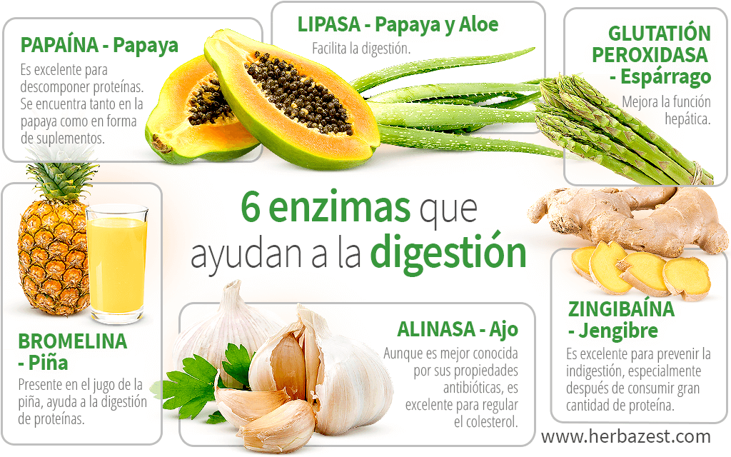 6 enzimas que ayudan a la digestión