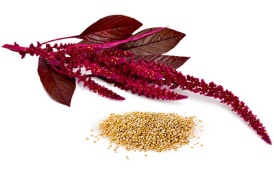 Amaranth