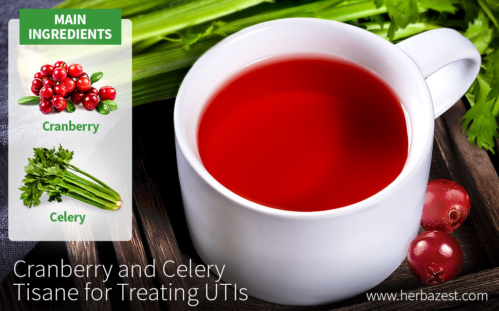 Cranberry and Celery Tisane for Treating UTIs