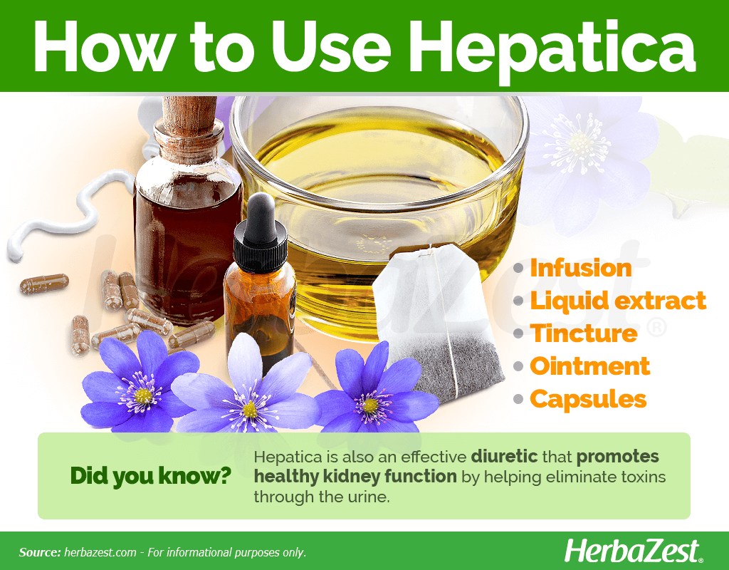 How to Use Hepatica