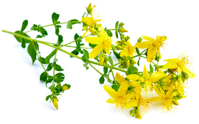 St. John's Wort