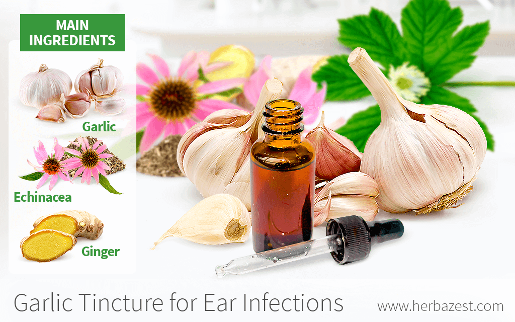 Garlic Tincture for Ear Infections