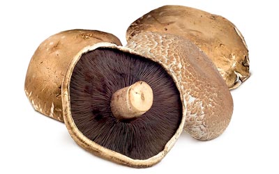 Portobello mushrooms