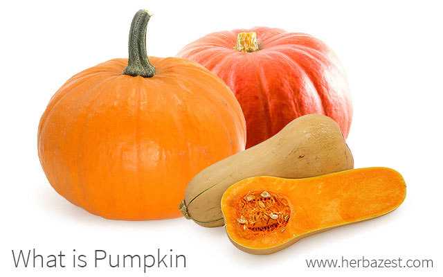 What is Pumpkin?