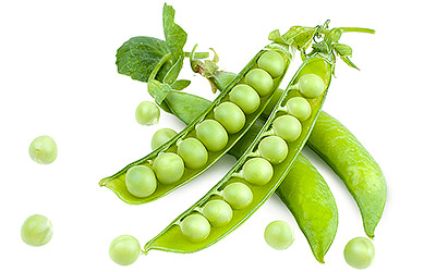 Pea