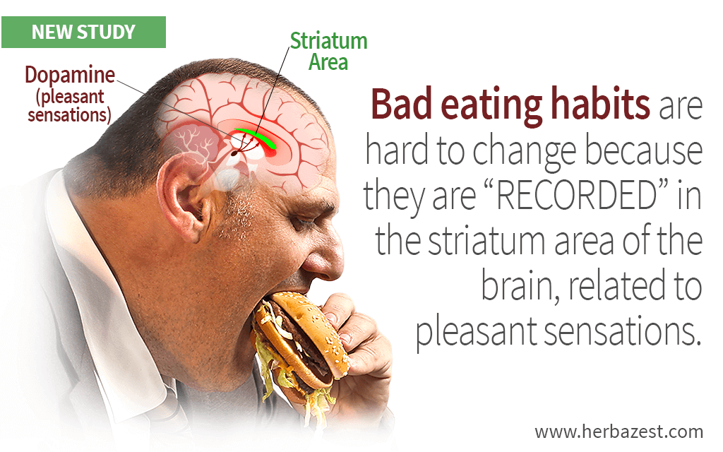 Bad eating habits are hard to change because they are “RECORDED” in the striatum area of the brain, related to pleasant sensations.