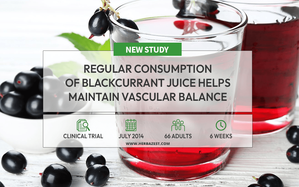 Study Shows Blackcurrant Juice Supports Vascular Health