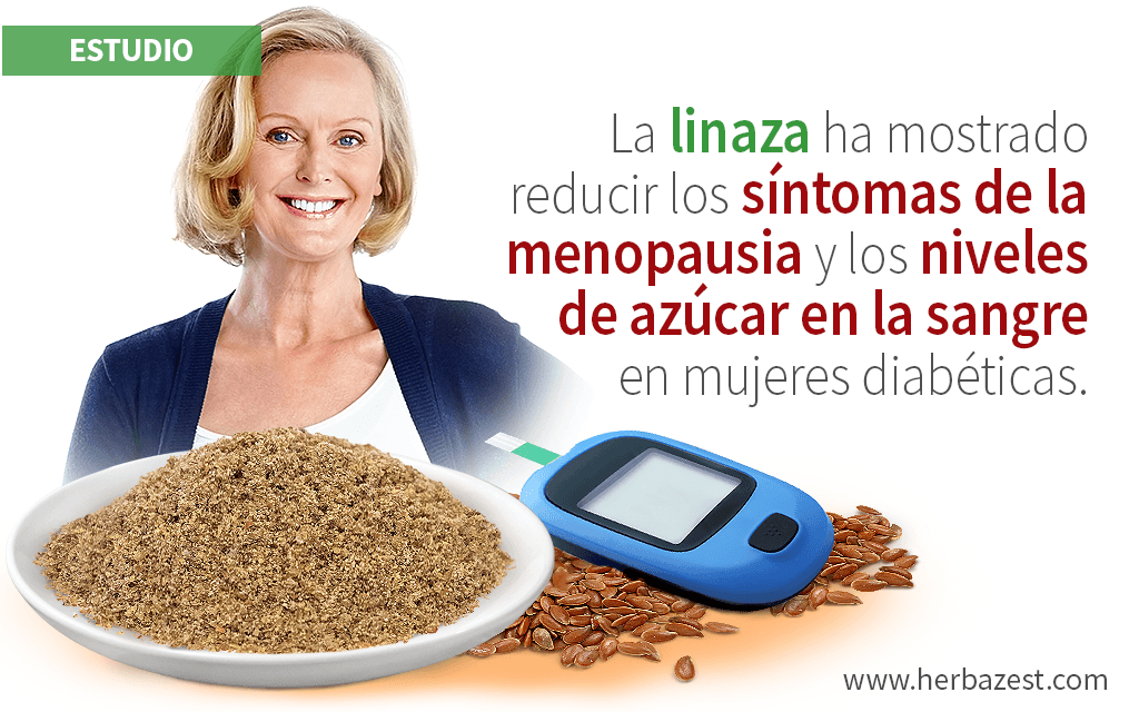 Mujeres con diabetes y menopausia pueden beneficiarse del consumo de linaza