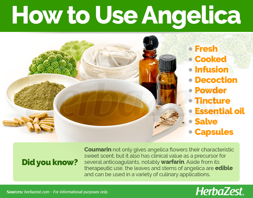How to Use Angelica