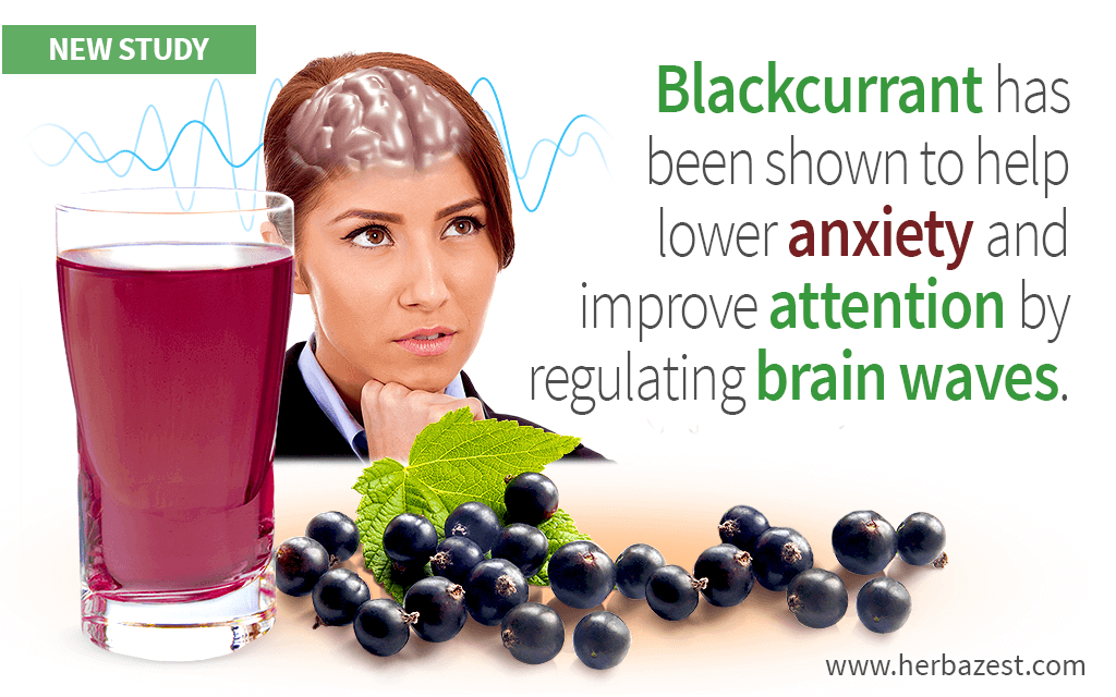 Blackcurrant Juice Shown to Reduce Anxiety and Boost Brain Function