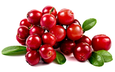 Cranberry