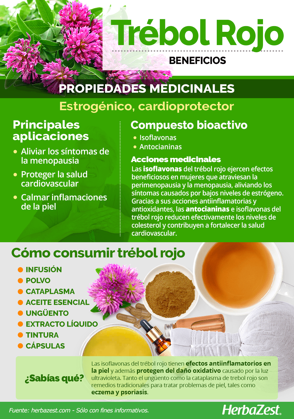 Beneficios del trébol rojo