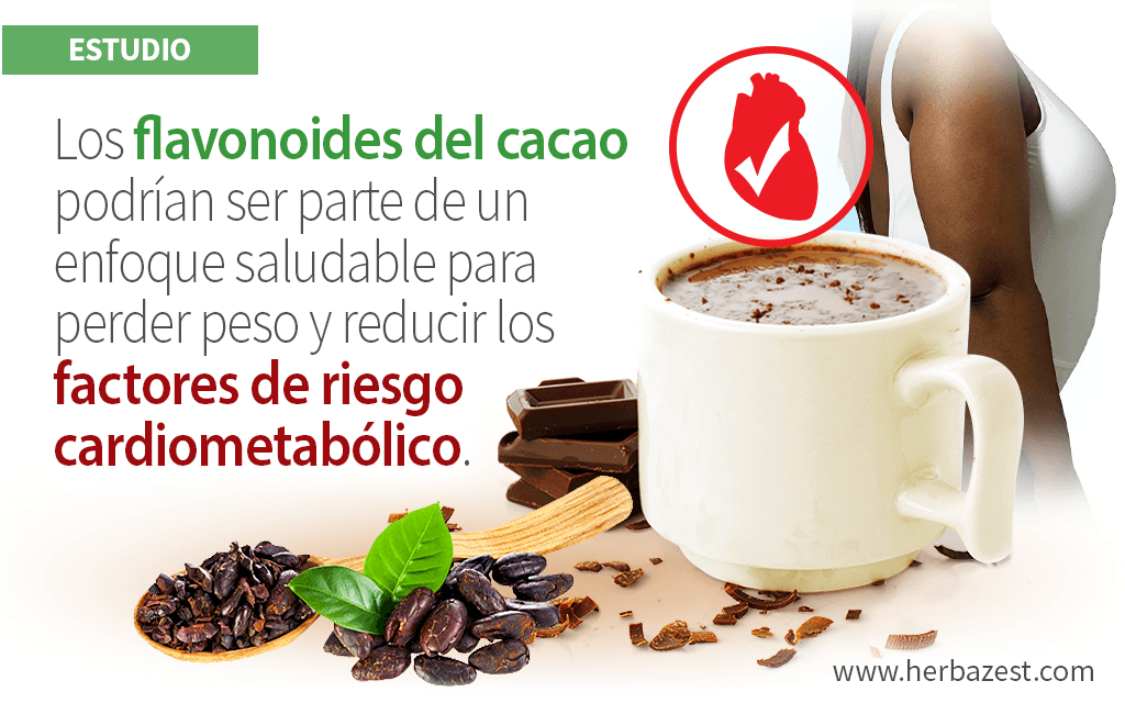 Flavonoides del cacao reducen factores de riesgo en adultos con obesidad
