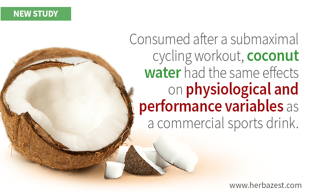 Coconut Water Shows To Be As Rehydrating As Commercial Sport Drinks