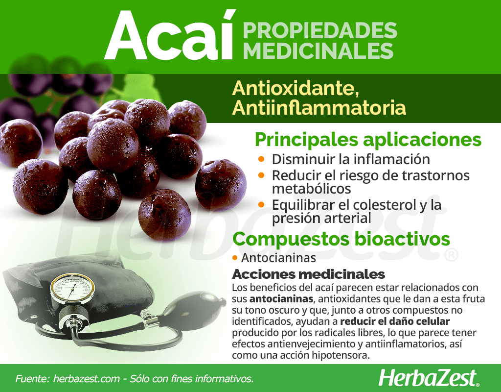 Propiedades medicinales del acaí